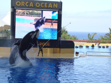loro parque