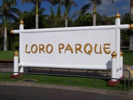 Parques temáticos: Loro Parque